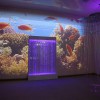 Проекционный дизайн "Виртуальная реальность" базовый комплект 500 анимаций - «globural.ru» - Санкт-Петербург