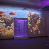 Проекционный дизайн "Виртуальная реальность" расширенный комплект 1000 анимаций - «globural.ru» - Санкт-Петербург