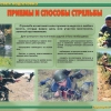 Комплект плакатов "Огневая подготовка" - «globural.ru» - Санкт-Петербург