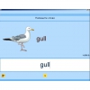 Английский язык. Освоение клавиатуры - «globural.ru» - Санкт-Петербург