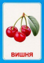 Логопедические карточки и картинки для развития речи - «globural.ru» - Санкт-Петербург