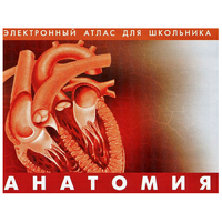 Анатомия. (Цифровой атлас школьника) - «globural.ru» - Санкт-Петербург