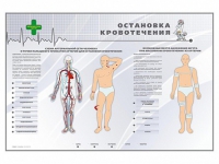 Электрифицированный стенд "Остановка кровотечения" - «globural.ru» - Санкт-Петербург