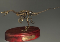 Модель скелета динозавра Velociraptor - «globural.ru» - Санкт-Петербург