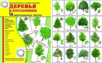 Демонстрационные карточки "Деревья и кустарники" - «globural.ru» - Санкт-Петербург