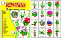 Демонстрационные карточки "Комнатные растения" - «globural.ru» - Санкт-Петербург