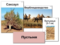 Модель-аппликация "Природные зоны России" - «globural.ru» - Санкт-Петербург