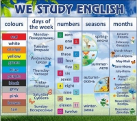 Стенд "We study english" - «globural.ru» - Санкт-Петербург