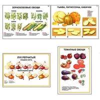 Плакаты ПРОФТЕХ "Ассортимент овощных культур" (12 пл, винил, 70х100) - «globural.ru» - Санкт-Петербург