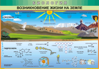 Таблица Возникновение жизни на Земле 1000*1400 винил - «globural.ru» - Санкт-Петербург
