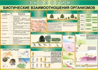 Таблица Биотические взаимоотношения организмов 1000*700 (винил) - «globural.ru» - Санкт-Петербург