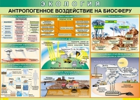 Таблица Антропогенное воздействие на биосферу 1000*700 винил - «globural.ru» - Санкт-Петербург