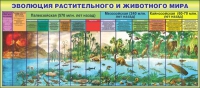 Стенд "Эволюция растительного и животного мира" - «globural.ru» - Санкт-Петербург