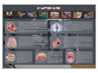 Стенд "Курение" (вариант 1) - «globural.ru» - Санкт-Петербург