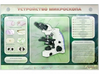 Электрифицированный стенд "Устройство микроскопа и правила работы c ним" - «globural.ru» - Санкт-Петербург