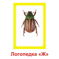 Логопедка "Ж" (логопедические карточки) - «globural.ru» - Санкт-Петербург
