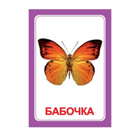 Логопедка "Ч" (логопедические карточки) - «globural.ru» - Санкт-Петербург