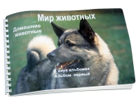 Пособие для слабовидящих "Домашние животные" - «globural.ru» - Санкт-Петербург