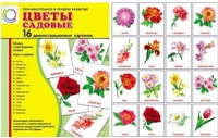 Демонстрационные карточки "Цветы садовые" - «globural.ru» - Санкт-Петербург