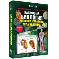 Наглядная биология. Человек. Строение тела человека - «globural.ru» - Санкт-Петербург