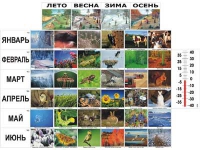 Фенологические наблюдения - «globural.ru» - Санкт-Петербург