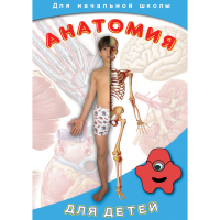 DVD  Анатомия для детей - «globural.ru» - Санкт-Петербург