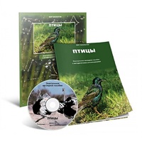 Электронное наглядное пособие «Птицы» - «globural.ru» - Санкт-Петербург