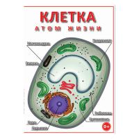 DVD Клетка - "атом жизни" - «globural.ru» - Санкт-Петербург