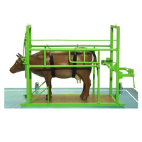 Наглядный макет «Методы и устройства для фиксации КРС» - «globural.ru» - Санкт-Петербург