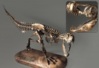 Модель скелета динозавра Tyrannosaurus - «globural.ru» - Санкт-Петербург