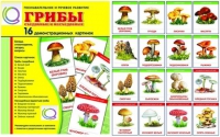Демонстрационные карточки  "Грибы съедобные и не съедобные" - «globural.ru» - Санкт-Петербург