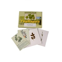 Гербарий "Деревья и кустарники" (22 вида, с иллюстрациями) - «globural.ru» - Санкт-Петербург