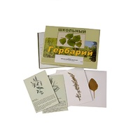 Гербарий "Лекарственные растения" (22 вида, с иллюстрациями) - «globural.ru» - Санкт-Петербург