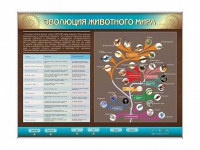 Интерактивный электрифицированный стенд "Эволюция животного мира" - «globural.ru» - Санкт-Петербург