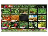 Комплект оборудования "Живой уголок" (растения) - «globural.ru» - Санкт-Петербург
