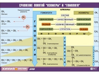 Таблица демонстрационная "Сравнение понятий изомер и гомолог" (винил 100х140) - «globural.ru» - Санкт-Петербург