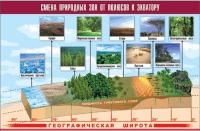 Таблица демонстрационная "Смена природных зон от полюсов к экватору" (винил 70x100) - «globural.ru» - Санкт-Петербург