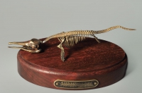 Модель скелета ихтиозавра Ichthyosaurus - «globural.ru» - Санкт-Петербург