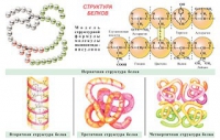 Плакаты и таблицы по общей химии - «globural.ru» - Санкт-Петербург