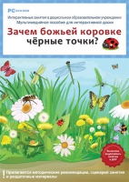 Интерактивные занятия в ДОУ. Зачем божьей коровке чёрные точки? - «globural.ru» - Санкт-Петербург