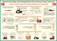  Таблица Общий порядок оказания первой помощи пострадавшим 1000*1400 винил	 - «globural.ru» - Санкт-Петербург