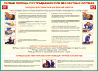 Таблица Порядок действий при внезапной смерти 1000*1400 винил - «globural.ru» - Санкт-Петербург