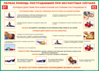Таблица Порядок действий при коматозном состоянии пострадавшего 1000*1400 винил - «globural.ru» - Санкт-Петербург