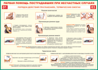 Таблица Порядок действий при ранениях и термических ожогах	 1000*1400 винил - «globural.ru» - Санкт-Петербург