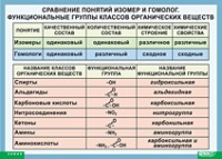 Химия. Сравнение понятий изомер и гомолог. Функциональные группы классов органических веществ (винил) - «globural.ru» - Санкт-Петербург