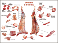 Правила разделки мясных туш "Баранина и ягнятина" 1000*1400 винил - «globural.ru» - Санкт-Петербург