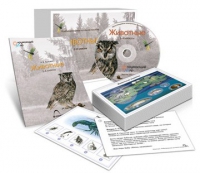 Комбинированное наглядное пособие «Животные» - «globural.ru» - Санкт-Петербург