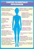 Стенд "Снятие мерок" (вариант 2) - «globural.ru» - Санкт-Петербург