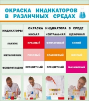 Стенд "Окраска индикаторов в различных средах" - «globural.ru» - Санкт-Петербург
