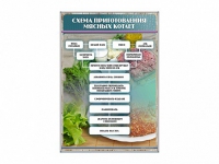 Стенд "Схема приготовления мясных котлет" - «globural.ru» - Санкт-Петербург